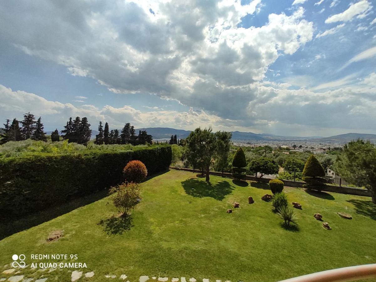 Luxury Villa Thea Volos Exterior photo